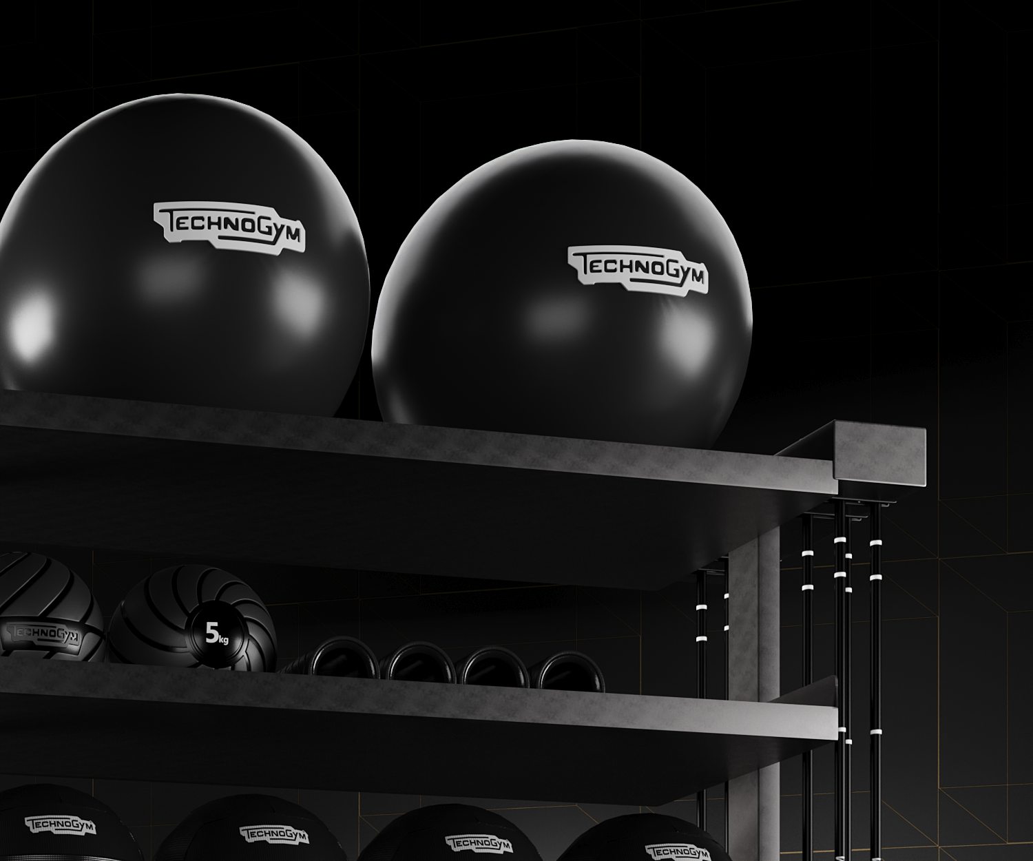 Rack Fitnnes 001